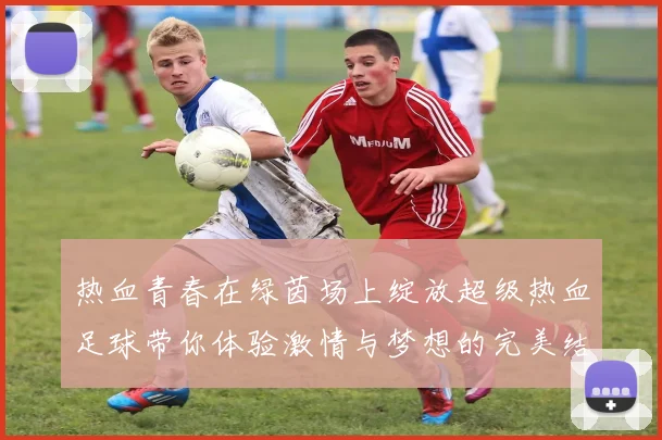 热血青春在绿茵场上绽放超级热血足球带你体验激情与梦想的完美结合