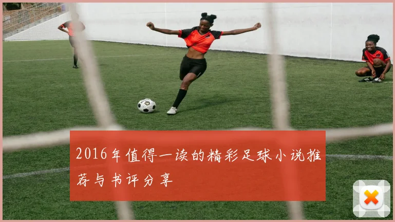 2016年值得一读的精彩足球小说推荐与书评分享