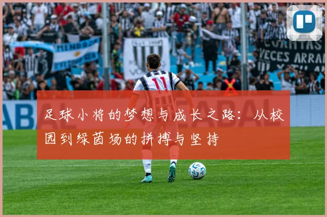 足球小将的梦想与成长之路：从校园到绿茵场的拼搏与坚持