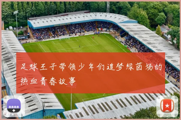 足球王子带领少年们追梦绿茵场的热血青春故事