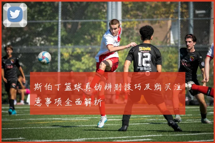 斯伯丁篮球真伪辨别技巧及购买注意事项全面解析