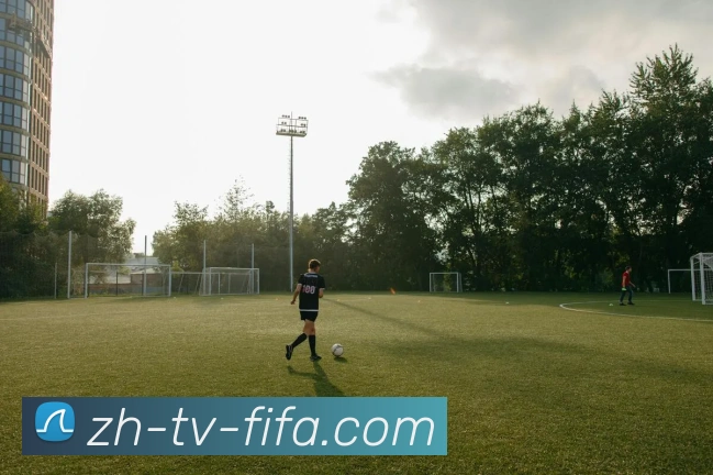 2026世界杯全站App